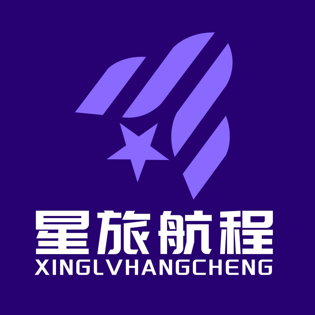 紫色星空飞行器logo设计