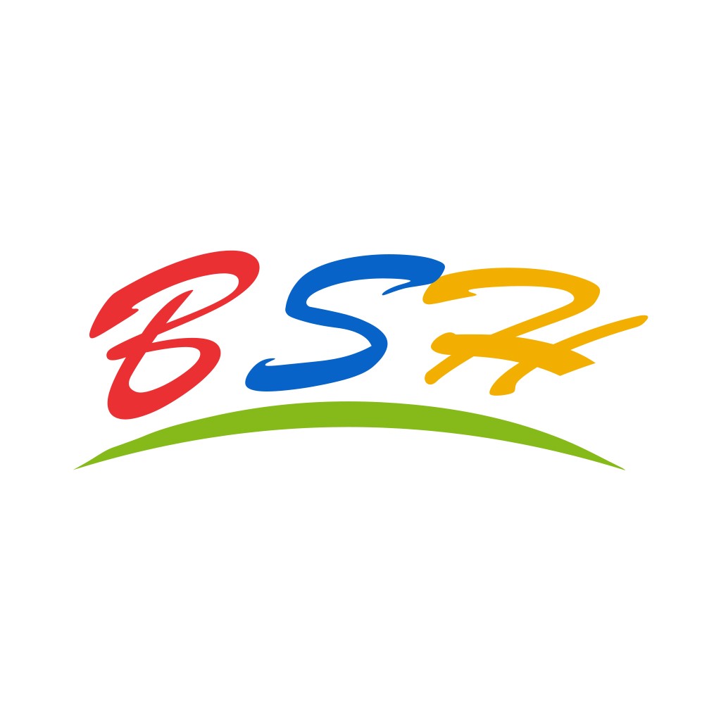 彩色流线型BSH logo设计