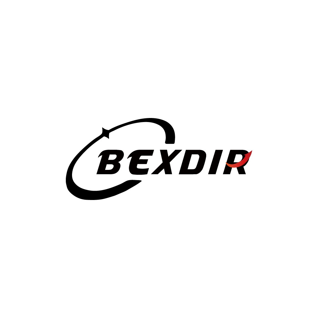 现代简洁BEXDIR品牌logo设计