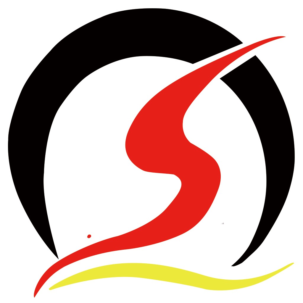 现代简约风S形标志设计