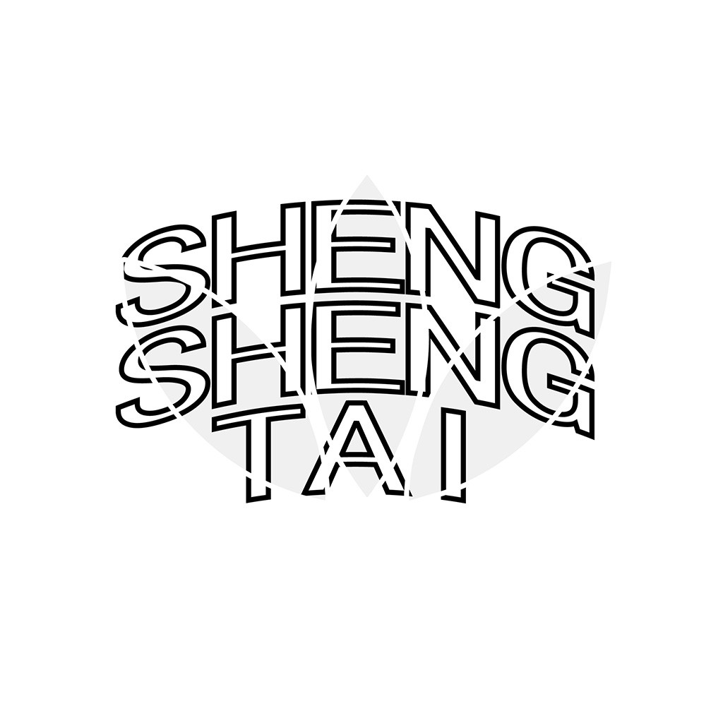 简约时尚的SHENG TAI LOGO设计