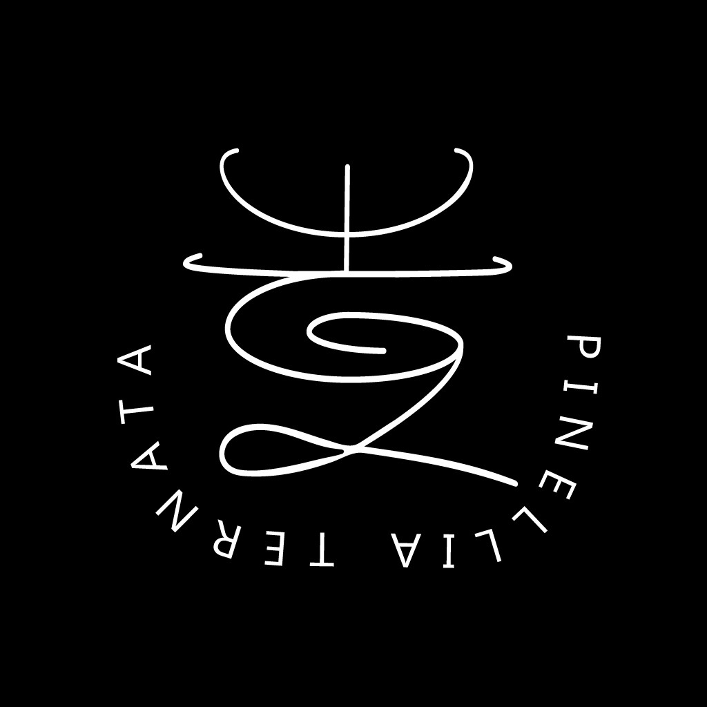 简洁线条艺术的PINE LILA TERNATA LOGO设计