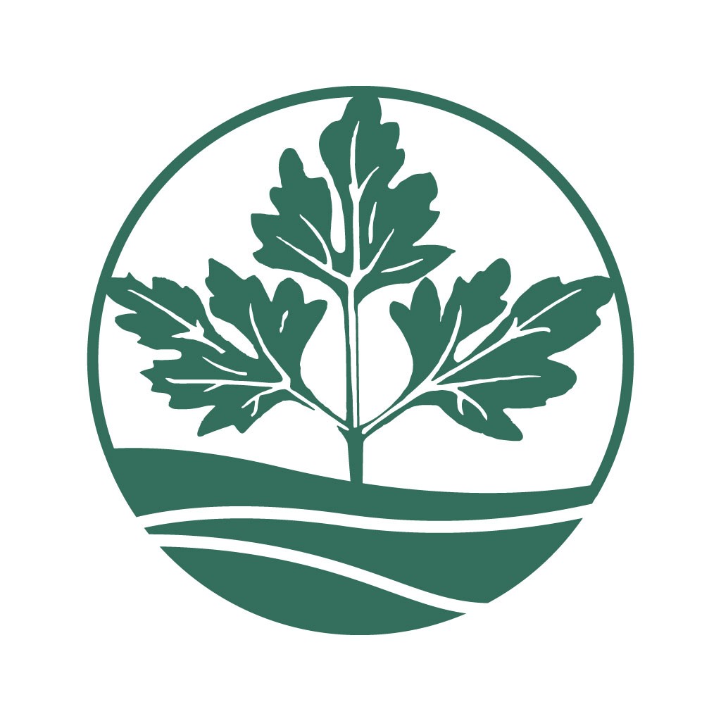 自然生态绿色植物logo设计