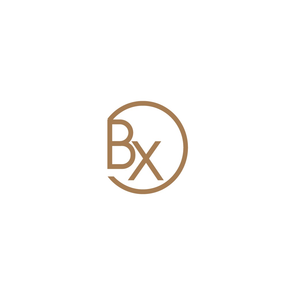 简约BX字母组合logo设计