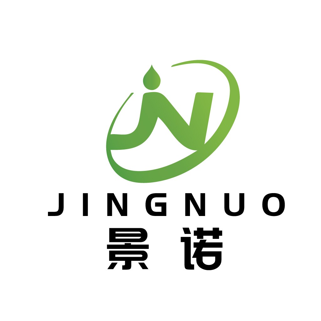 Jingnuo Logo设计:简洁现代企业标识