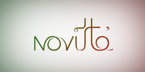 Novito logo设计：现代简洁字体与色彩搭配