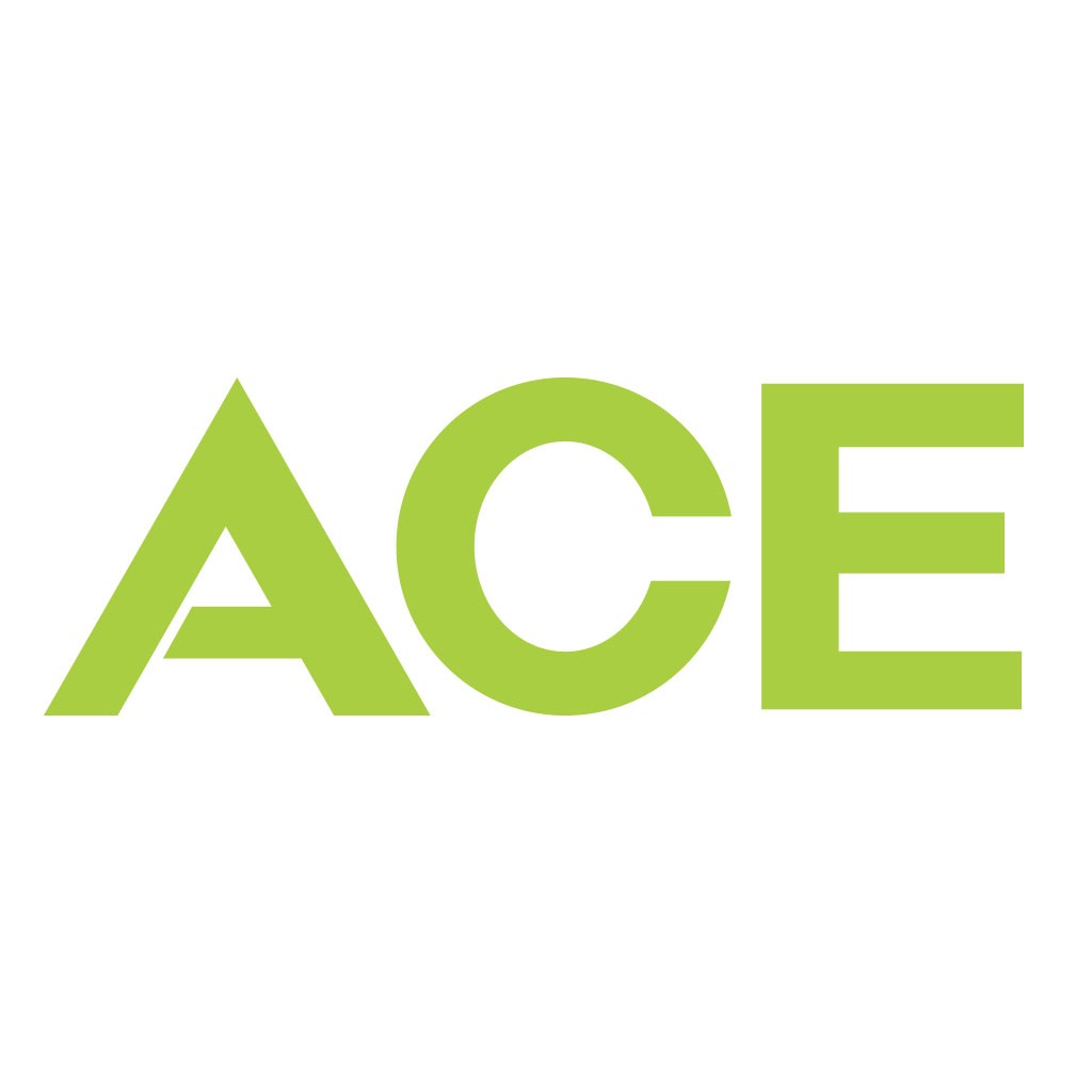 简洁明了的ACE字母logo设计