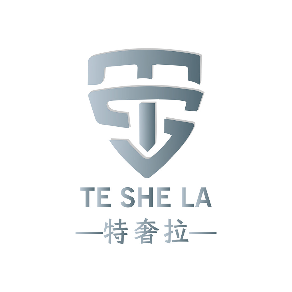 简约盾牌型logo设计