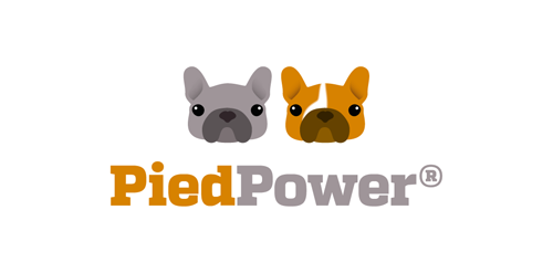 PiedPower PowerPower logo设计