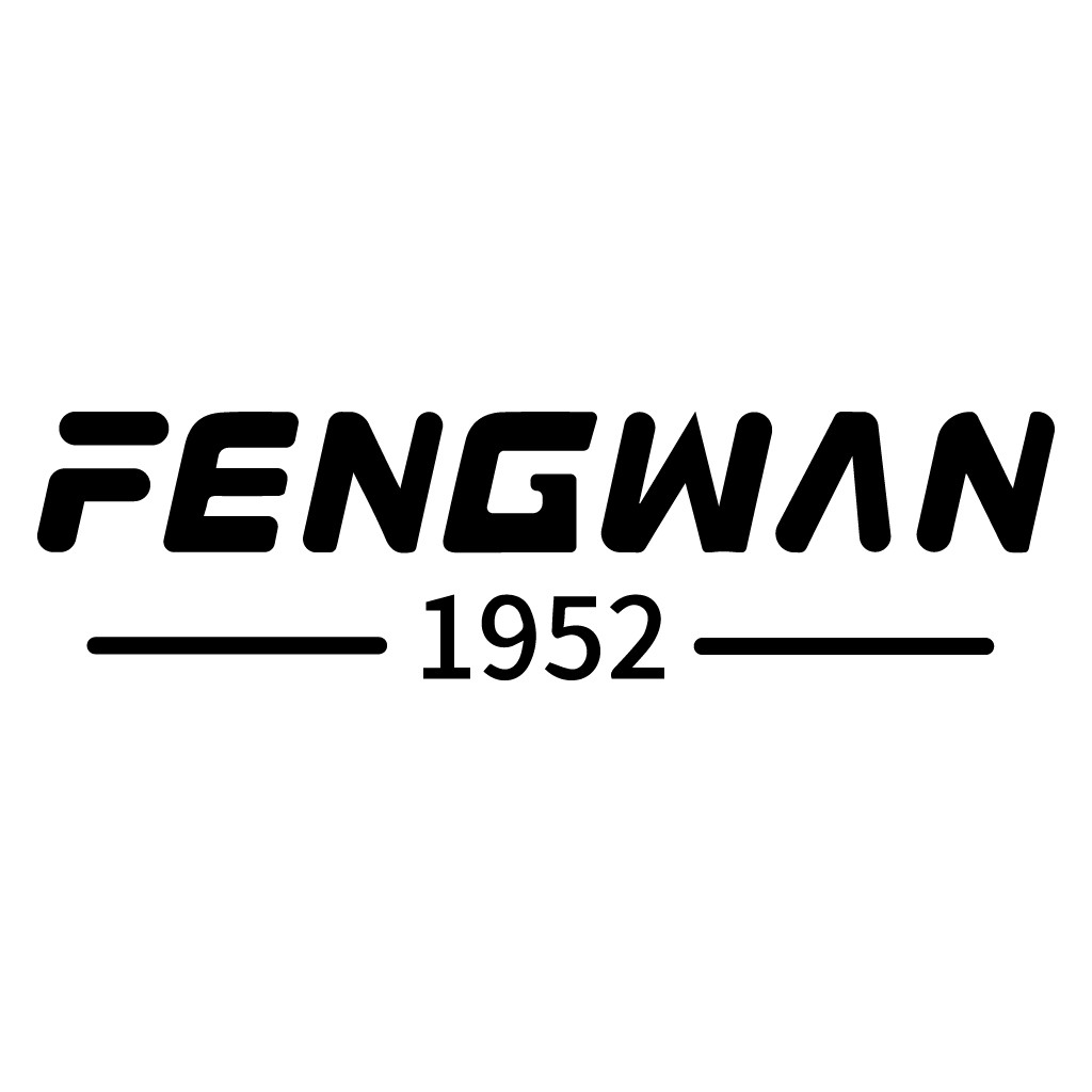 简约现代风FENGGWAN品牌logo设计
