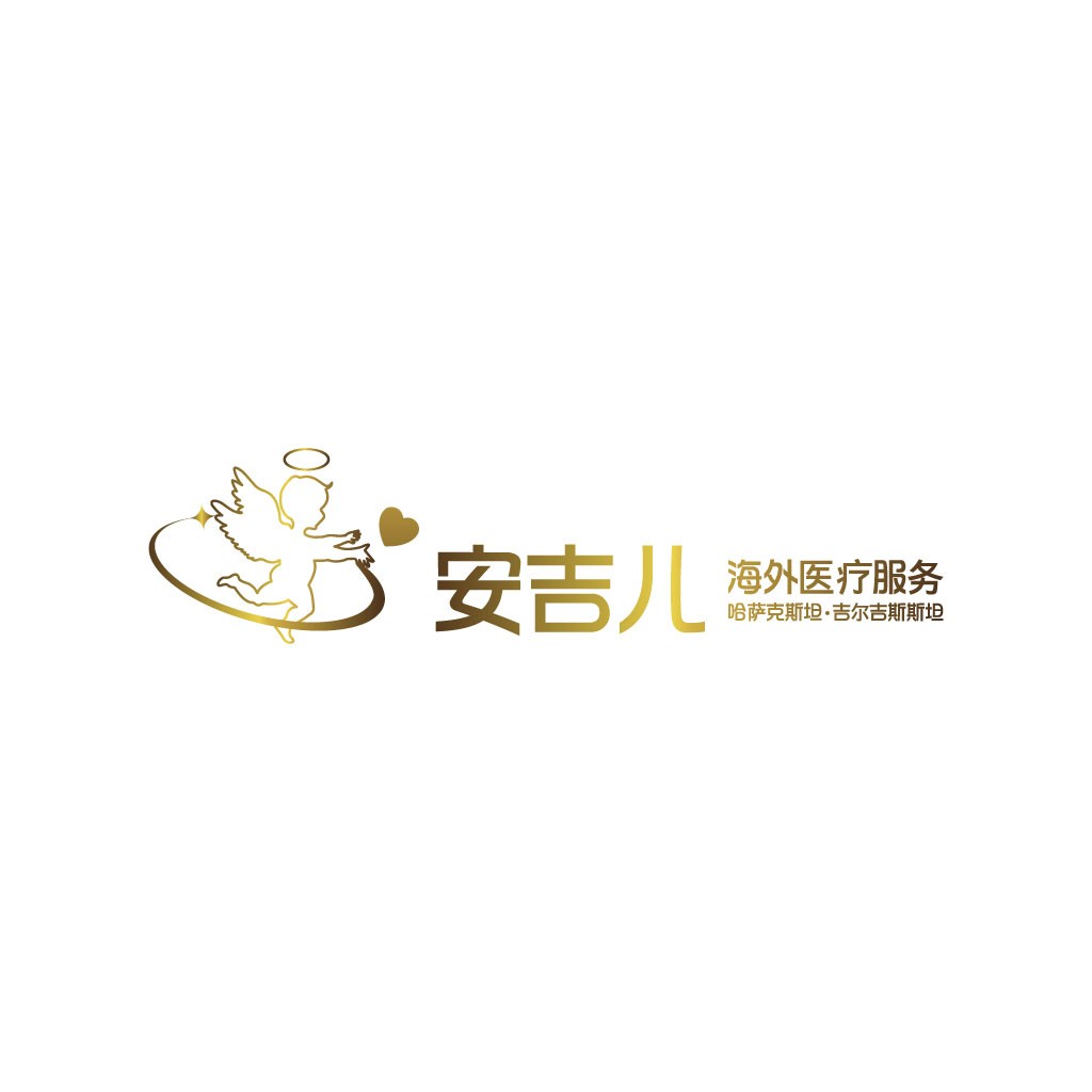 天使守护者-海外医疗服务logo设计