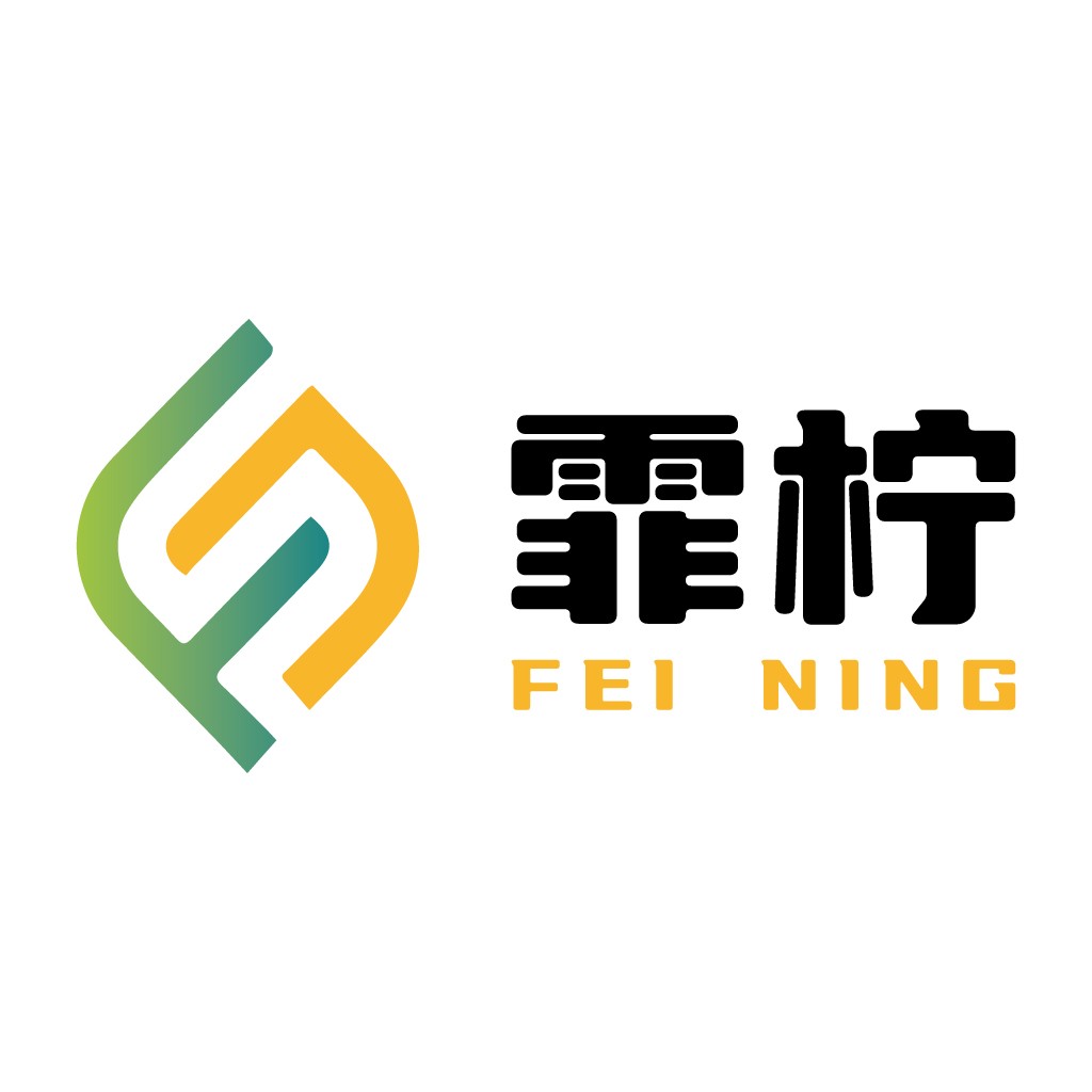 简洁现代的FEI NING NING品牌logo设计