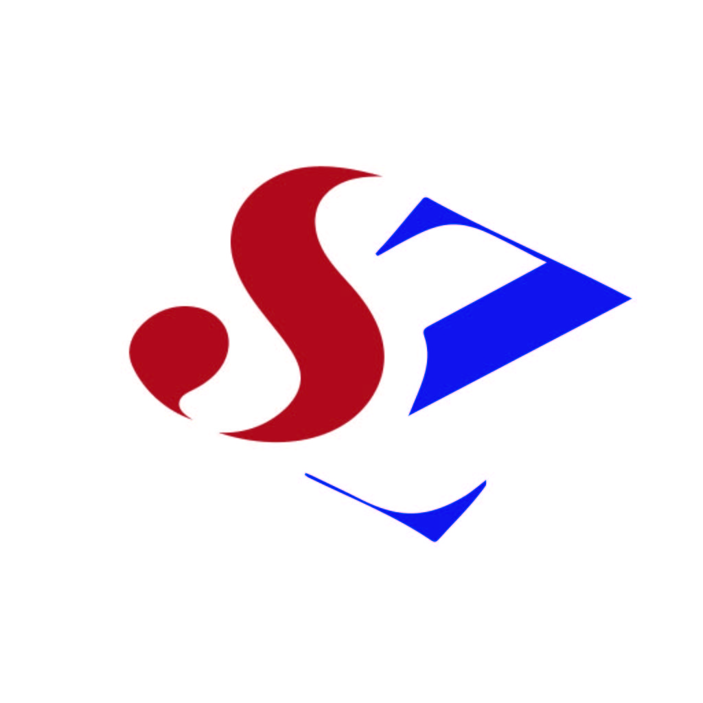 简约现代红色蓝色动态logo设计