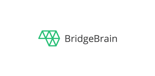 BridgeBrain Brain Logo Design