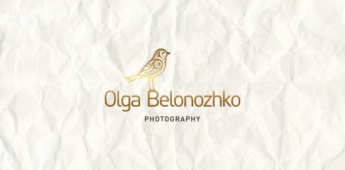 简约优雅的鸟形logo设计