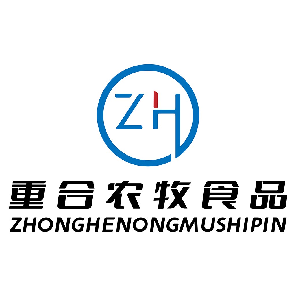 ZH品牌logo设计:简约现代风格