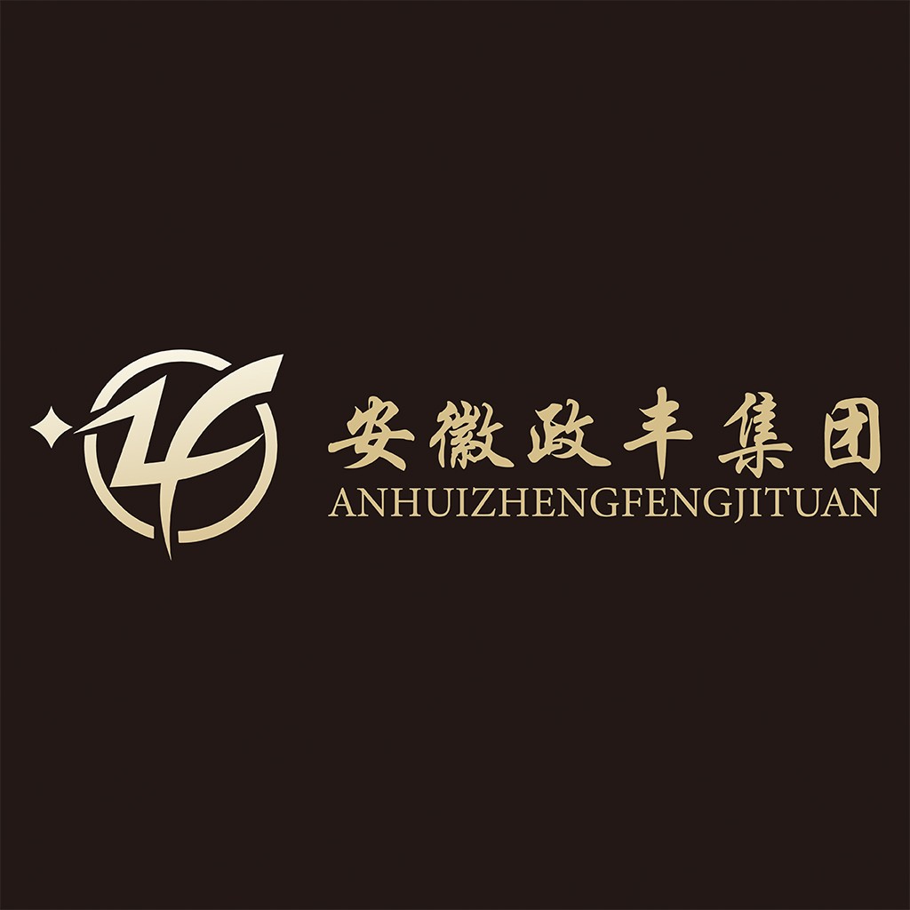徽政丰丰集团logo设计