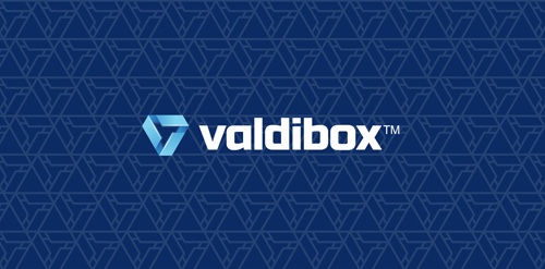 Valdibox logo设计:简洁现代科技感