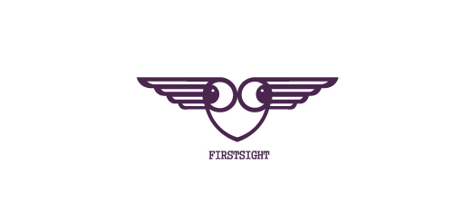 翅膀与眼睛logo设计:视觉与飞翔的结合