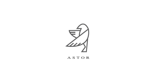 简洁优雅的ASTOR品牌logo设计