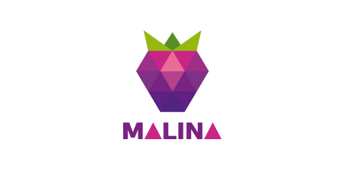Malina logo设计:几何风格品牌标识