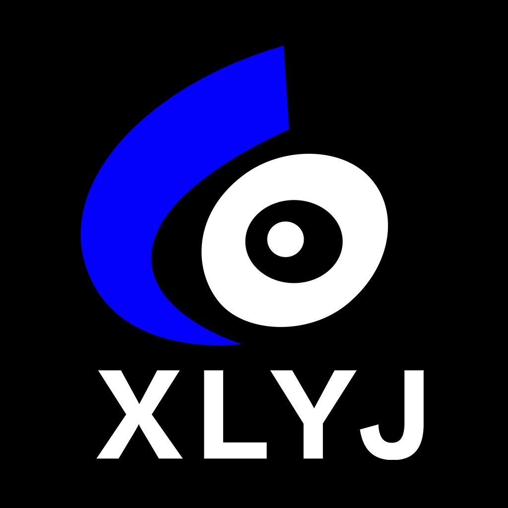 简洁现代的XLYJYJ标志设计