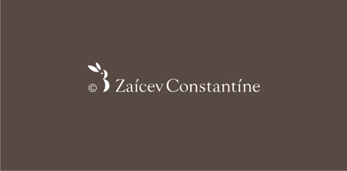 简约优雅的Zaicev Constantine logo设计