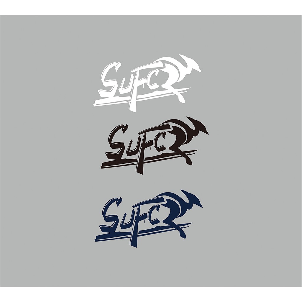 现代简约风Surfcylogo设计