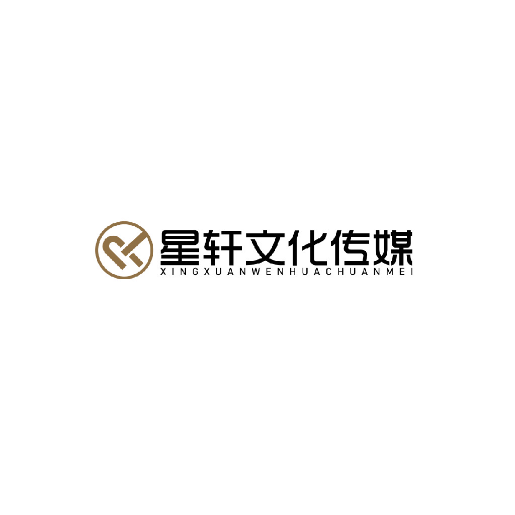 星轩文化传媒logo设计