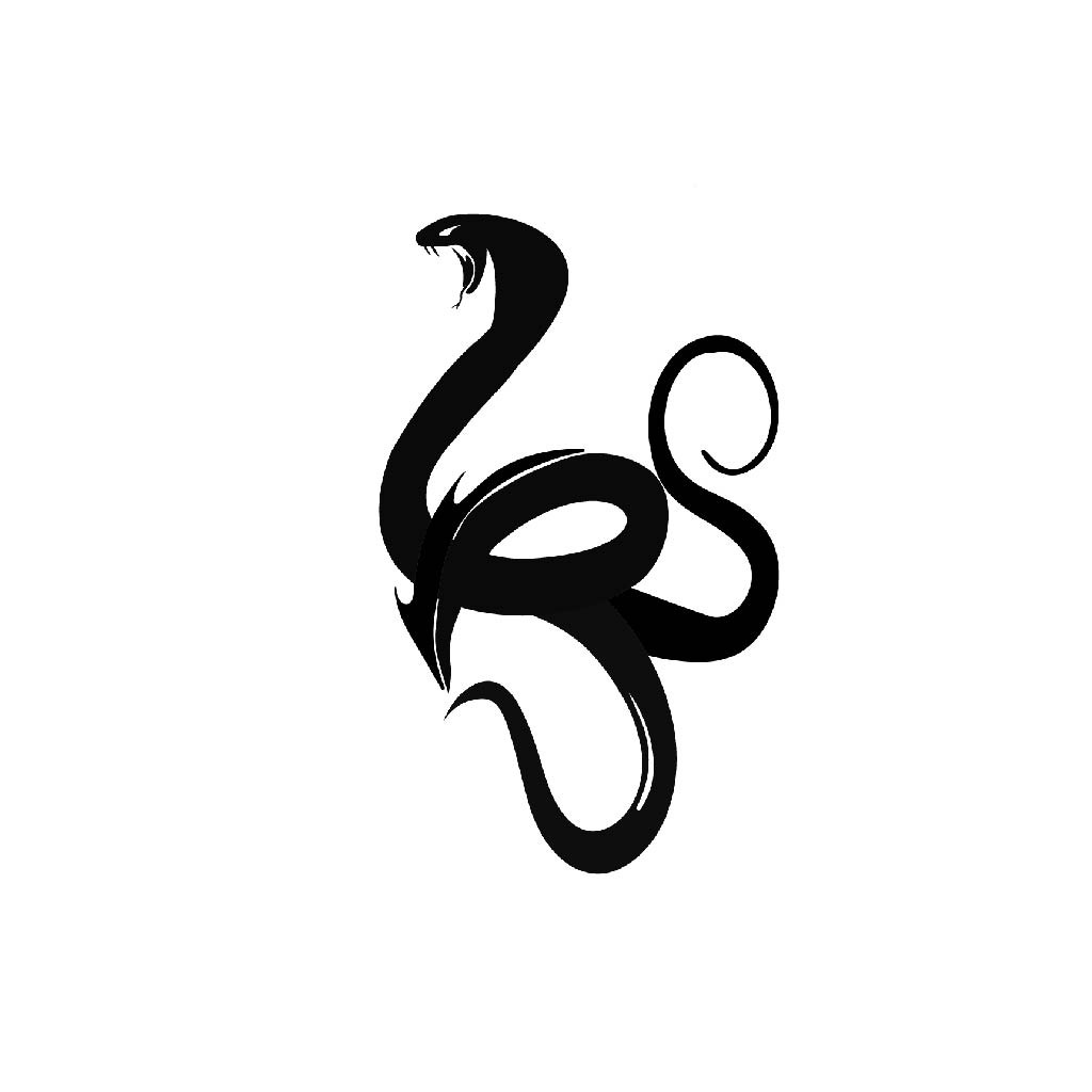 蛇形logo设计：简洁现代的视觉符号