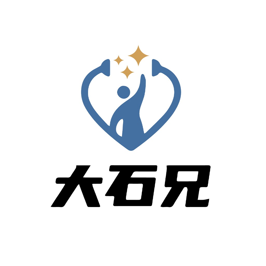 携手共进，闪耀未来-大石兄logo设计