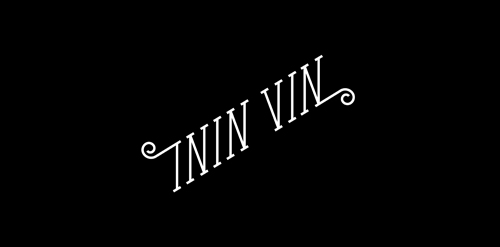 简约优雅的ININ VIN品牌logo设计