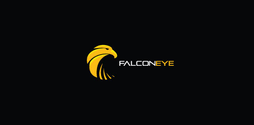 FalconEye logo设计:鹰眼视觉标识