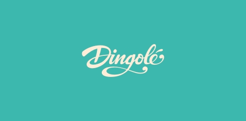 Dingolé logo设计:优雅的字体与简洁的背景