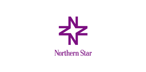 北星logo设计:简洁现代企业标识