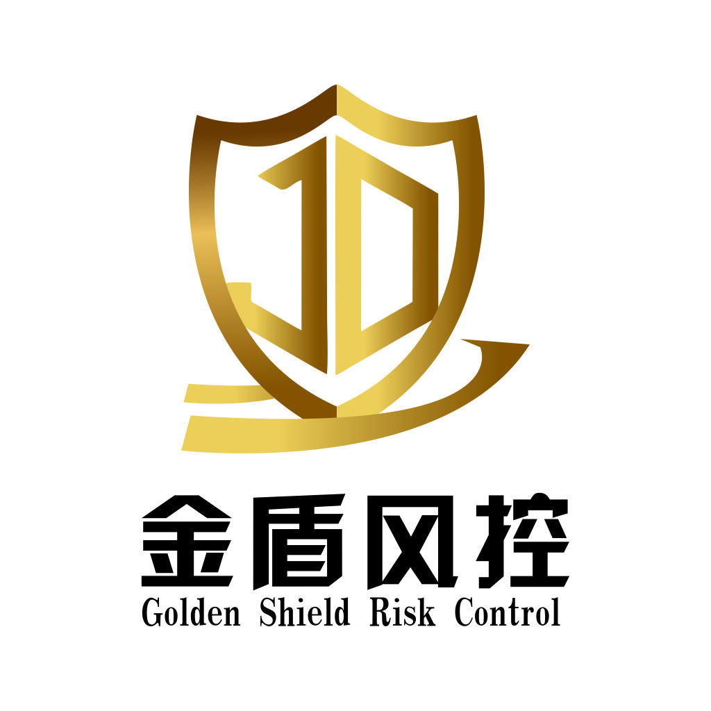 金盾风控logo设计:高端品牌标识解决方案