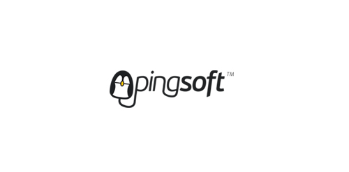 pingsoft logo设计:简洁易记的科技标识