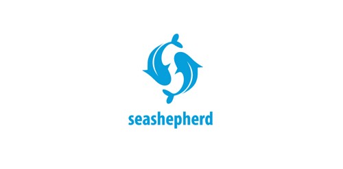 海豚logo设计:简洁海洋保护品牌标识