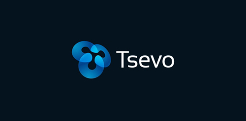 Tsevo logo设计：简洁现代的科技标识