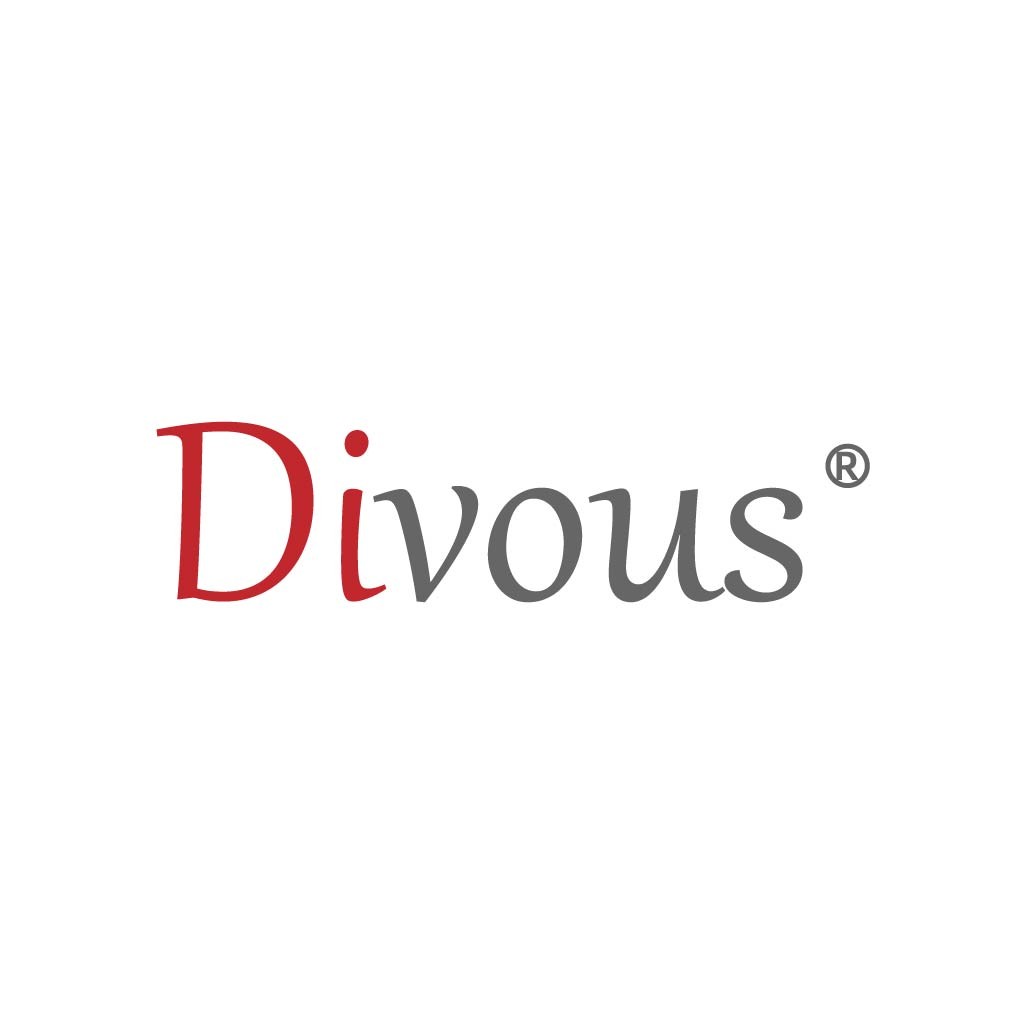 Divous Logo设计:现代简洁品牌标识