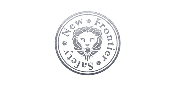 新前沿安全logo设计