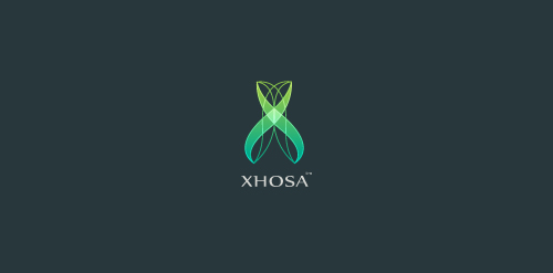 XHOSA logo设计:简洁抽象的双线交织