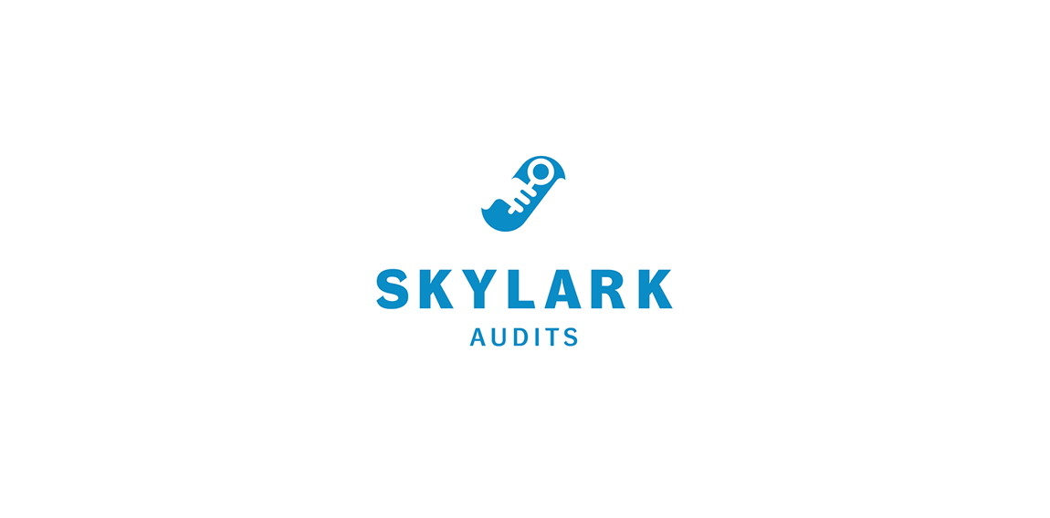 蓝天鸟logo设计：简洁现代企业标识