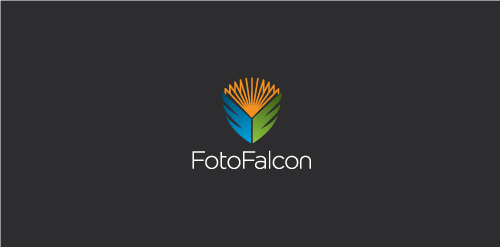 彩色羽毛图案的logo设计