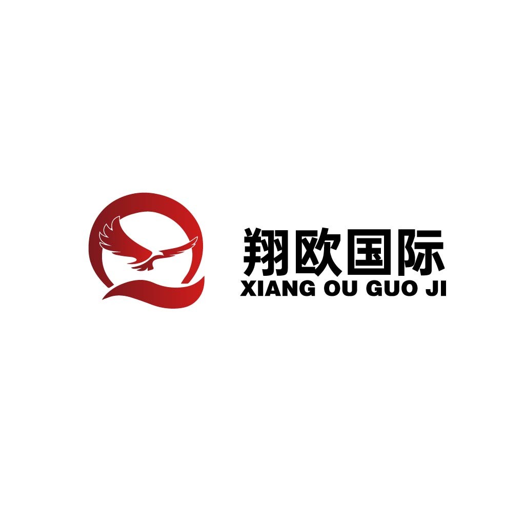 飞翔国际logo设计