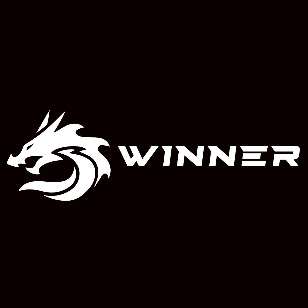 龙形logo设计：简洁有力的视觉符号