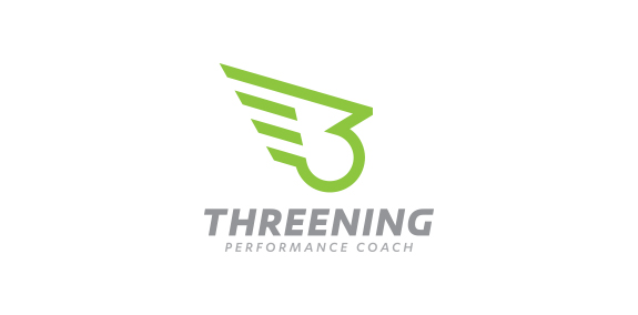 简洁现代的飞行教练logo设计