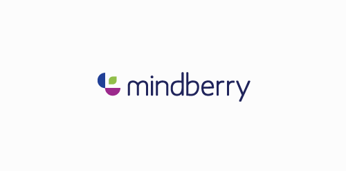 Mindberry Logo设计：简洁现代企业标识