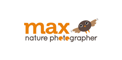 自然摄影logo设计：简洁明了的视觉传达