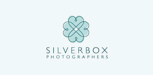 简约艺术风格的SILVERBOX LOGO设计